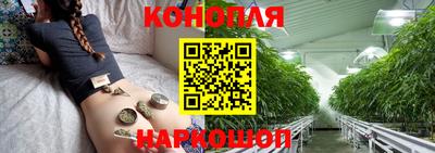 сатива Канаш