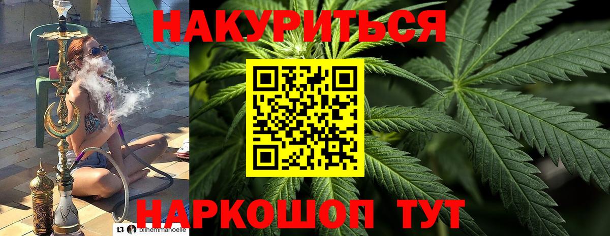 Бошки марихуана семена Кузнецк